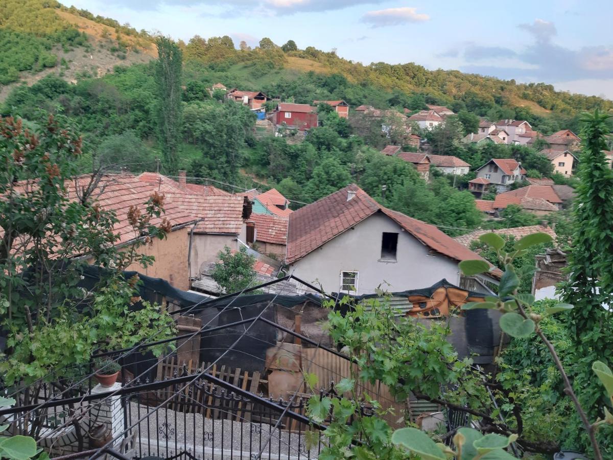 Vila Mir Πίροτ Εξωτερικό φωτογραφία
