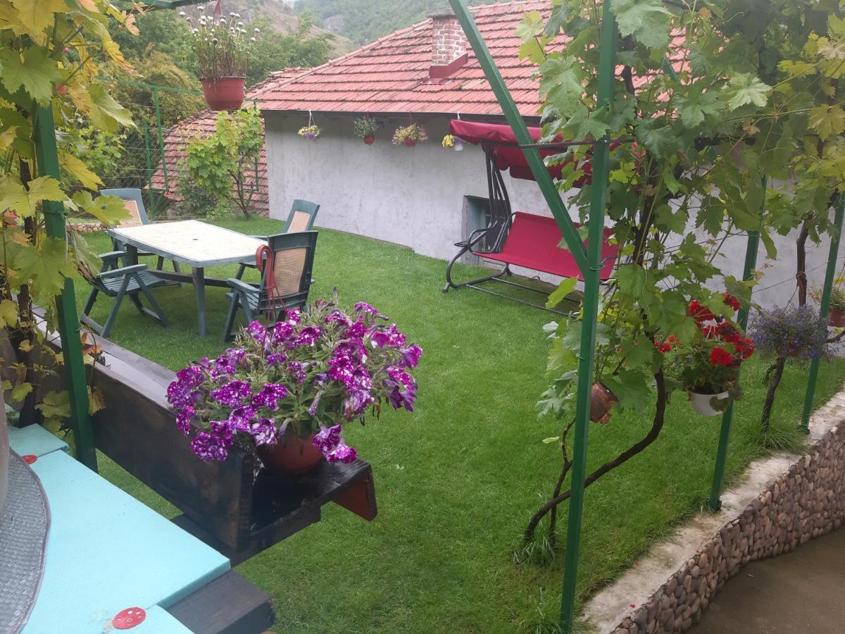 Vila Mir Πίροτ Εξωτερικό φωτογραφία